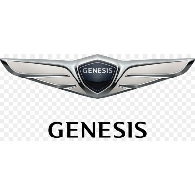 Ecuworks Chip Tuning - Genesis